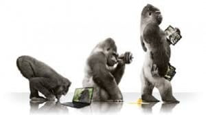 gorilla glass