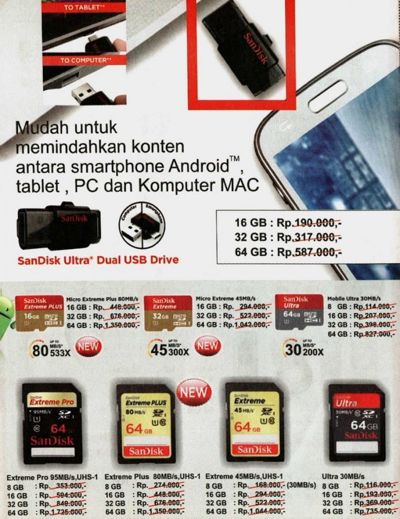 SanDisk1b