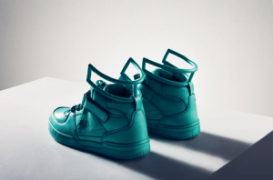 shoe
