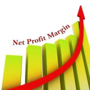 net profit margin