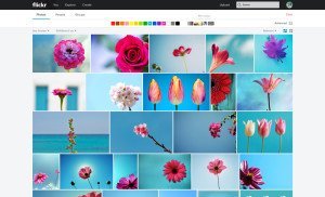 Flickr_Web_Color-Search_Minimal1