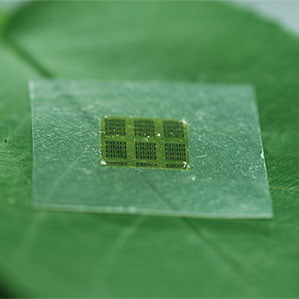 Komponen elektronik yang terbuat dari gallium arsenide duduk di atas permukaan yang dibuat dari nanocellulose. Nanoselulosa sendiri terbuat dari kayu
