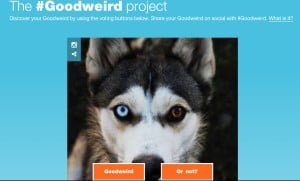 lenovo goodweird project