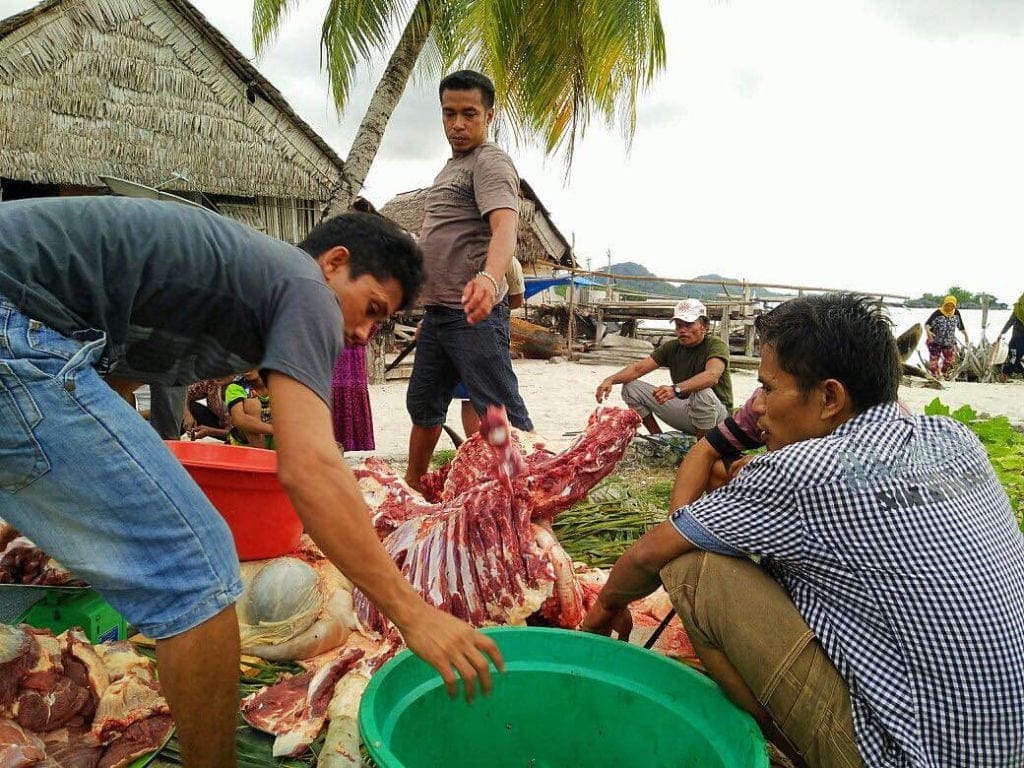 distribusi-hewan-kurban-di-ambon
