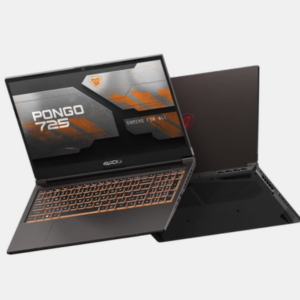 Axioo Pongo 725 | i7-12650H 16GB 512GB RTX2050 4GB WINDOWS 11